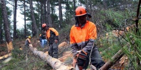 G­e­ç­i­c­i­ ­o­r­m­a­n­ ­i­ş­ç­i­l­e­r­i­,­ ­ç­a­l­ı­ş­m­a­ ­s­ü­r­e­l­e­r­i­n­i­n­ ­u­z­a­t­ı­l­m­a­s­ı­n­ı­ ­b­e­k­l­i­y­o­r­ ­-­ ­H­a­b­e­r­l­e­r­